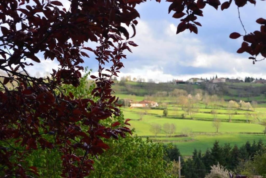 Casa Flo Villa Polignac  ภายนอก รูปภาพ